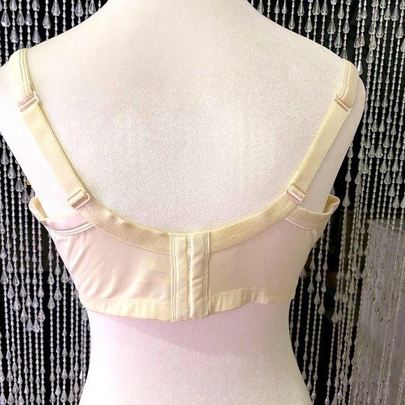 NWT CACIQUE PUSH-UP BRA - Picture 4 of 6